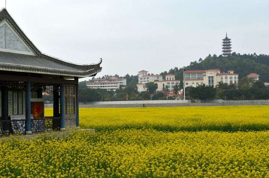Dongguan Goodview Hotel Sangem Qiaotou Voorzieningen foto